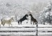 Winter-Horses